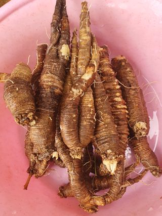 인생은 소풍처럼님의 기타작물 · 자유게시판 작성글 사진