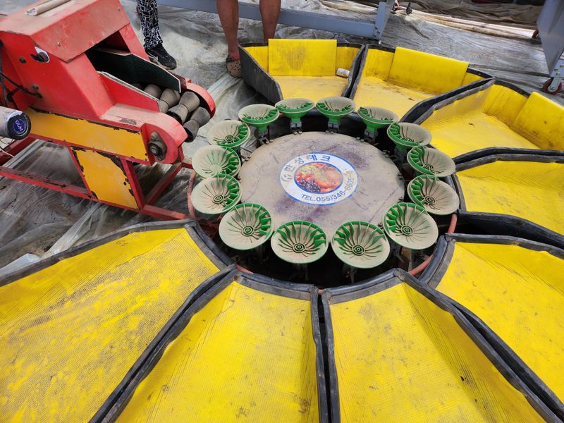 장터 상품 [과일 중량 선별기  중고(판매완료)] 썸네일