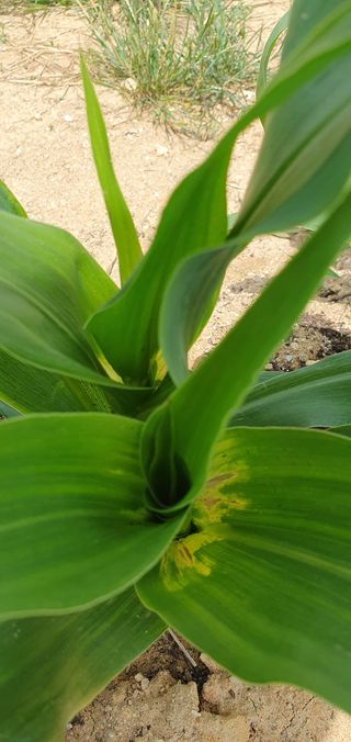 김강석님의 자유주제 · 자유게시판 작성글 사진