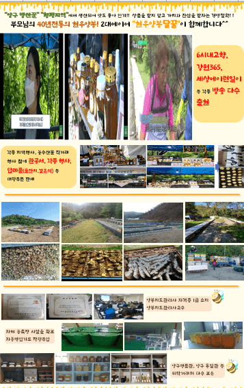 손정훈님의 장터 판매 상품 [★★전상품 할인 판매!!★★아카시꿀/밤꿀/숙성꿀/야생화 2.4kg, 1.2kg, 550g, 500g, 250g] 첨부 사진