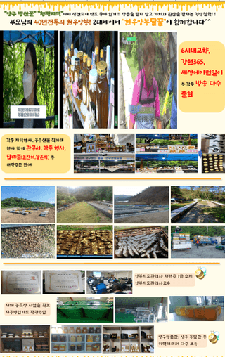 손정훈님의 작성글 사진