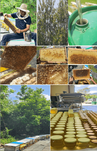 손정훈님의 작성글 사진