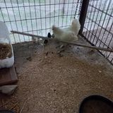 팜모닝 기타작물·자유게시판 게시글 이미지