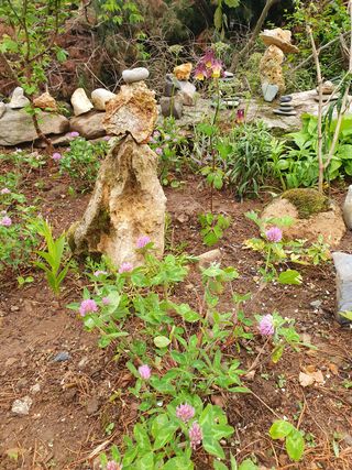 인생은 소풍처럼님의 옥수수 · 자유게시판 작성글 사진