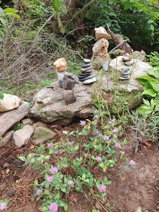 인생은 소풍처럼님의 옥수수 · 자유게시판 작성글 사진