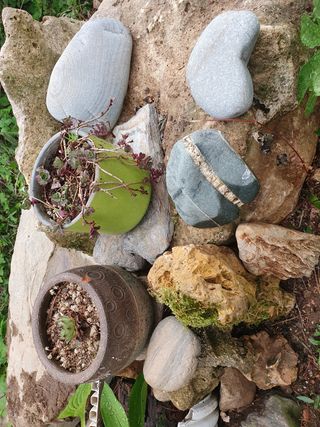 인생은 소풍처럼님의 옥수수 · 자유게시판 작성글 사진