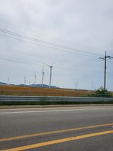 팜모닝 자유주제·자유게시판 게시글 이미지