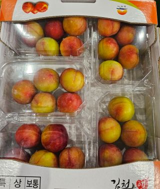 써니네님의 작성글 사진