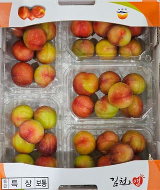 써니네님의 작성글 사진