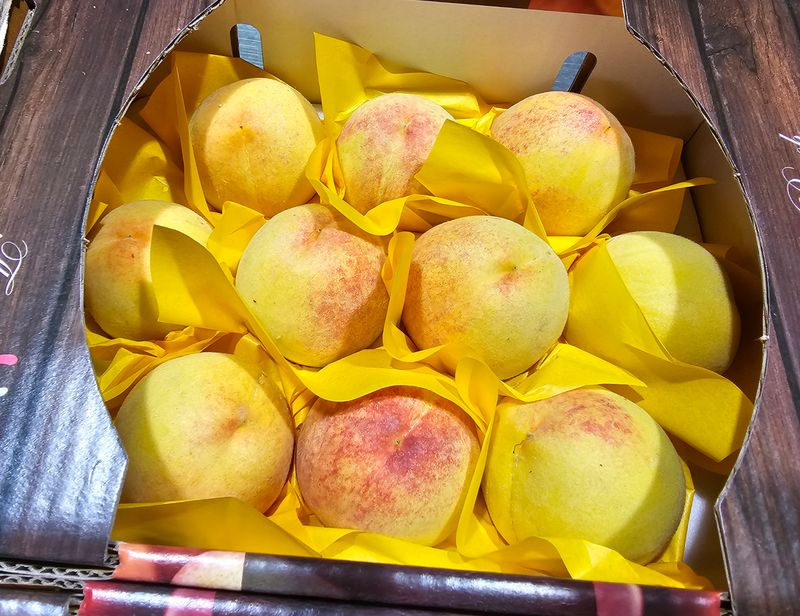 장터 상품 [하우스 황도복숭아 1.5키로] 썸네일