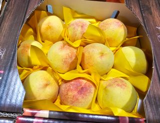 써니네님의 작성글 사진