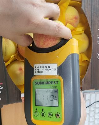 써니네님의 작성글 사진