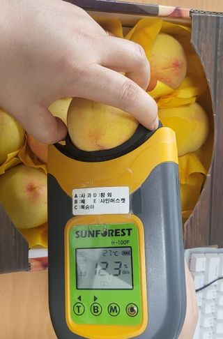 써니네님의 작성글 사진