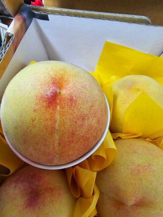 써니네님의 작성글 사진