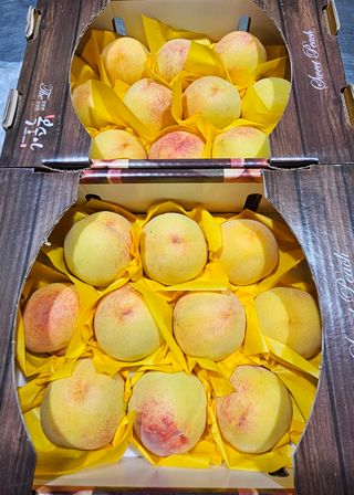 써니네님의 작성글 사진