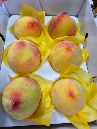 써니네님의 작성글 사진