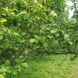 팜모닝 자유주제·자유게시판 게시글 이미지