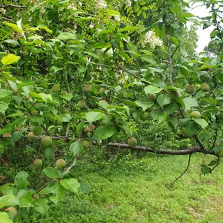 김정희님의 자유주제 · 자유게시판 작성글 사진