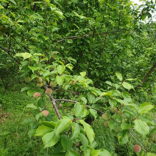 김정희님의 자유주제 · 자유게시판 작성글 사진