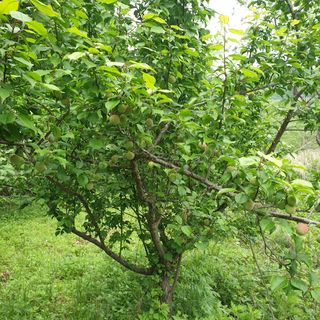 김정희님의 자유주제 · 자유게시판 작성글 사진