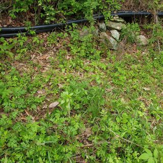 김정희님의 자유주제 · 자유게시판 작성글 사진