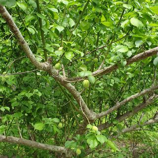 김정희님의 자유주제 · 자유게시판 작성글 사진