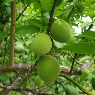 김정희님의 자유주제 · 자유게시판 작성글 사진