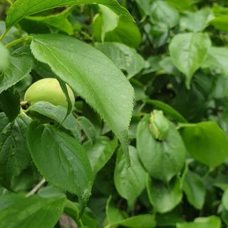 김정희님의 자유주제 · 자유게시판 작성글 사진