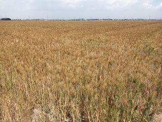 김형준님의 작성글 사진