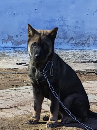 콩31745님의 우리동네 · 무료나눔 작성글 사진