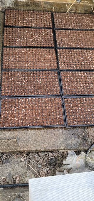 신승철님의 기타작물 · 자유게시판 작성글 사진