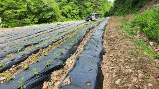 전용표님의 자유주제 · 사진전 작성글 사진