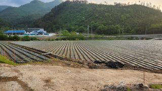 전용표님의 자유주제 · 사진전 작성글 사진