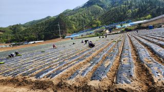 전용표님의 자유주제 · 사진전 작성글 사진