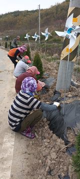 팜모닝 자유주제·자유게시판 게시글 이미지