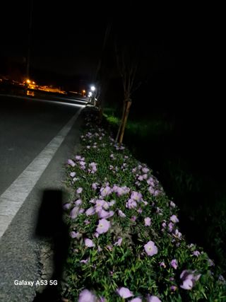 권 명주 님의 자유주제 · 자유게시판 작성글 사진