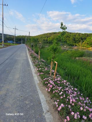 권 명주 님의 자유주제 · 자유게시판 작성글 사진