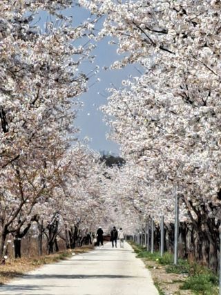 권 명주 님의 자유주제 · 자유게시판 작성글 사진