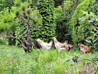 울금박사[빈덕열]님의 자유주제 · 자유게시판 작성글 사진