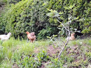 울금박사[빈덕열]님의 자유주제 · 자유게시판 작성글 사진