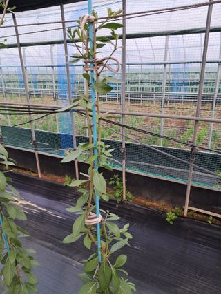 이천순님의 기타작물 · 자유게시판 작성글 사진