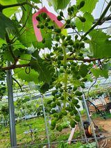 팜모닝 자유주제·자유게시판 게시글 이미지