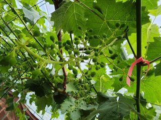 김종현님의 자유주제 · 자유게시판 작성글 사진