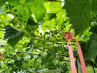 김종현님의 자유주제 · 자유게시판 작성글 사진