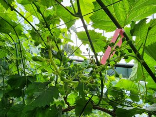 김종현님의 자유주제 · 자유게시판 작성글 사진