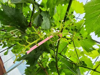 김종현님의 자유주제 · 자유게시판 작성글 사진