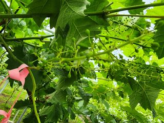 김종현님의 자유주제 · 자유게시판 작성글 사진