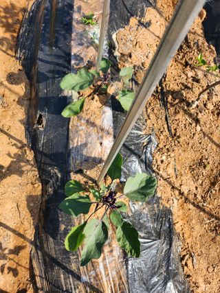 전남 해남 쥴리아님의 자유주제 · 자유게시판 작성글 사진