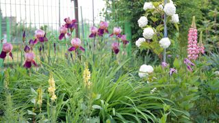 최수일님의 우리동네 · 무료나눔 작성글 사진