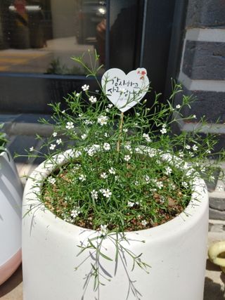 조정분(사랑이엄마)님의 우리동네 · 동네수다 작성글 사진